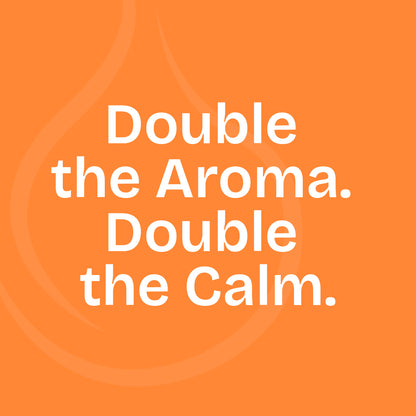 Dual Nozzle Aroma Diffuser