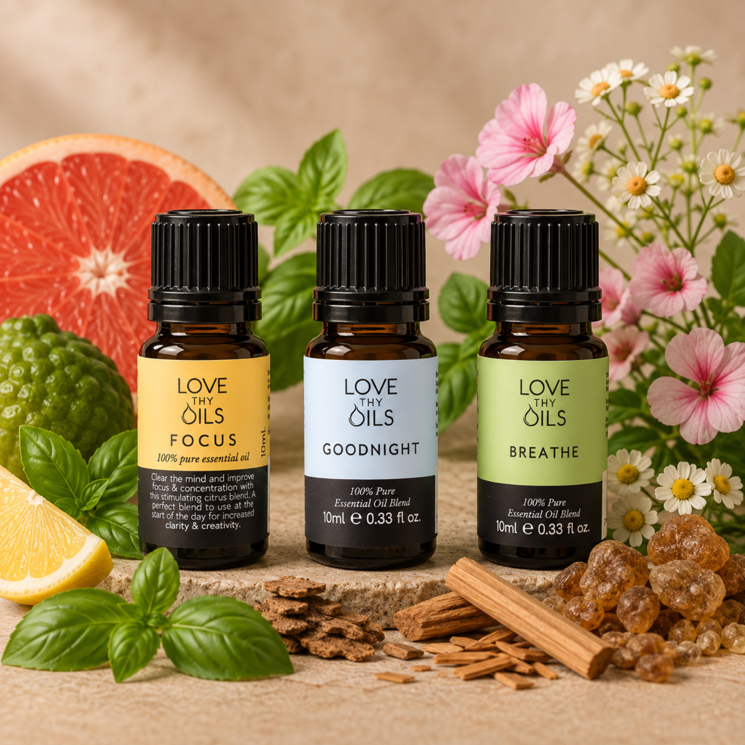 Use it Daily Collections