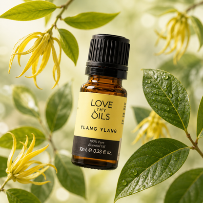 Ylang Ylang Essential Oil 10ml