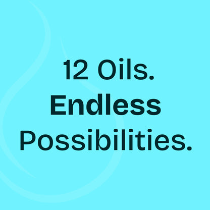 Aromatherapy 12 Pack Starter Kit