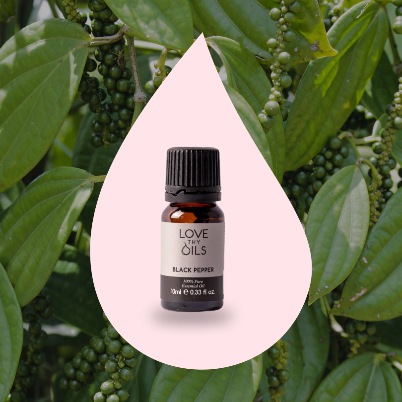 Black Pepper Essential Oil 10ml