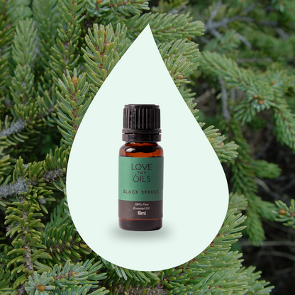 Black Spruce Essential Oil 10ml