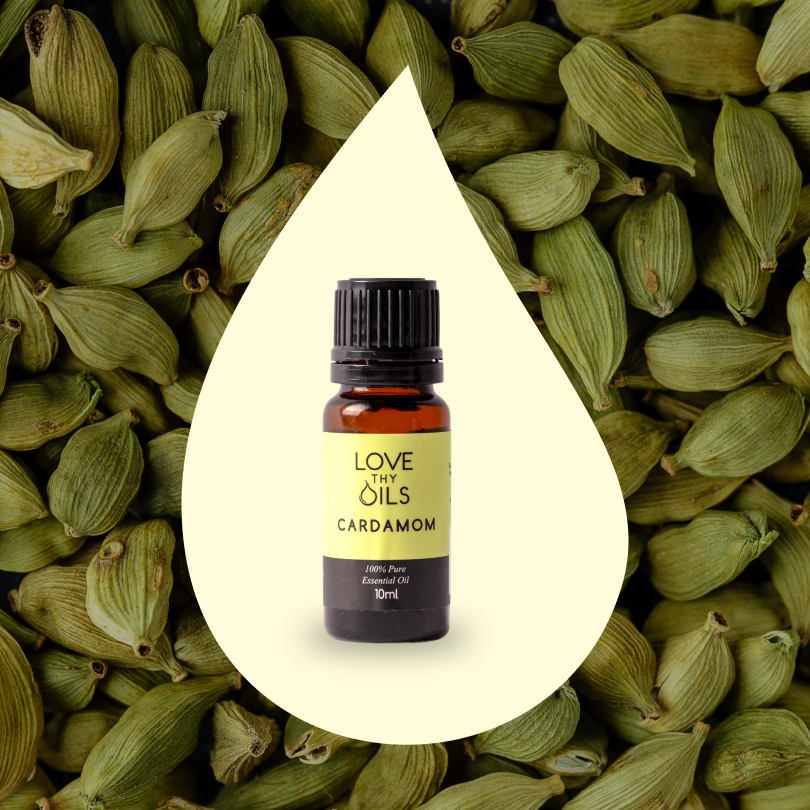 Cardamom Essential Oil 10ml