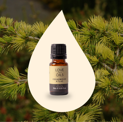Cedarwood Atlas Essential Oil 10ml