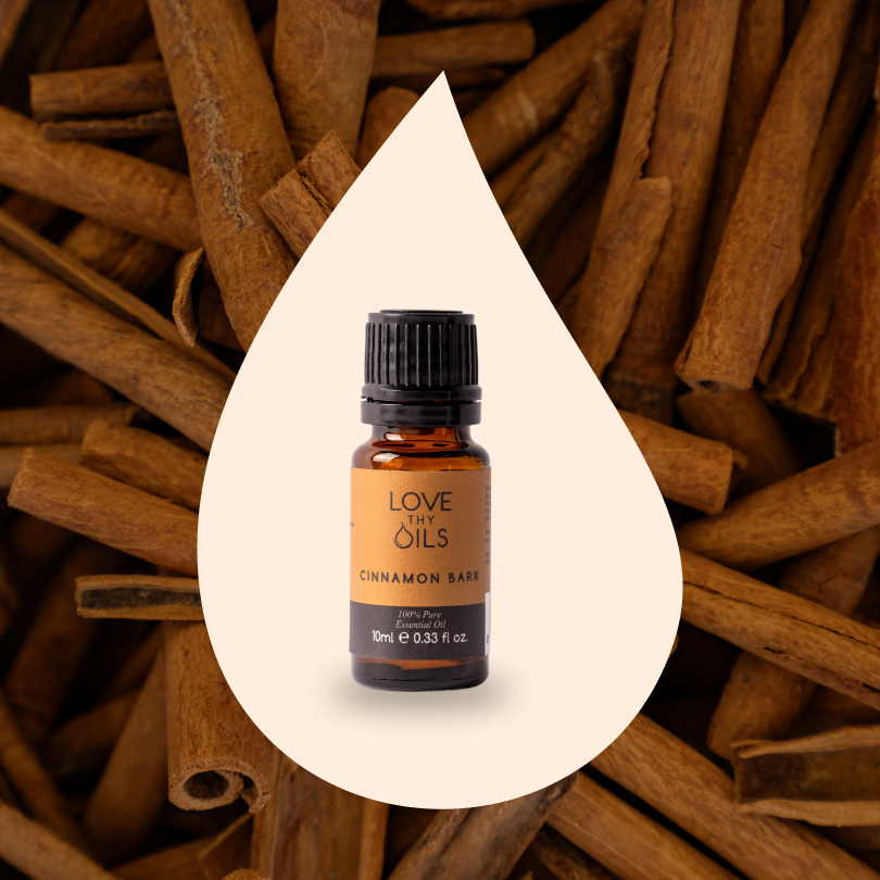 Cinnamon Bark Essential Oil 10ml