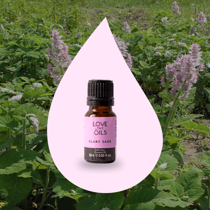 Clary Sage Essential Oil 10ml
