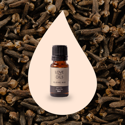 Clove Bud Essential Oil 10ml