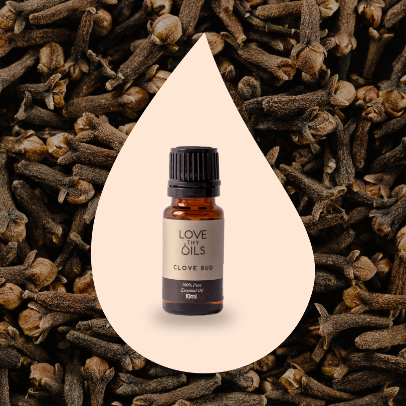 Clove Bud Essential Oil 10ml