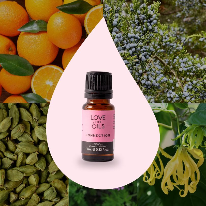 Connection Essential Oil Blend 10ml