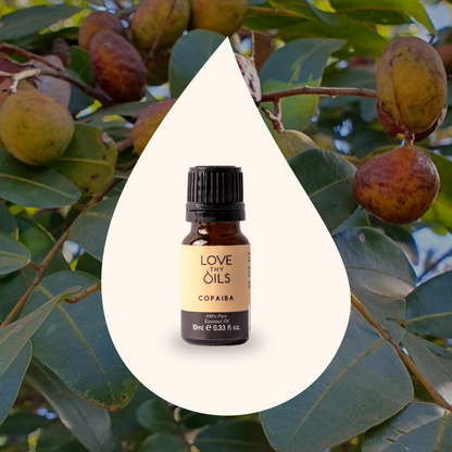 Copaiba Essential Oil 10ml