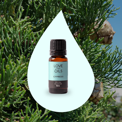 Cypress Essential Oil 10ml