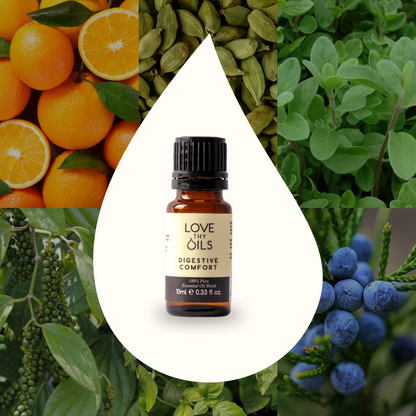 Digestive Comfort Essential Oil Blend 10ml