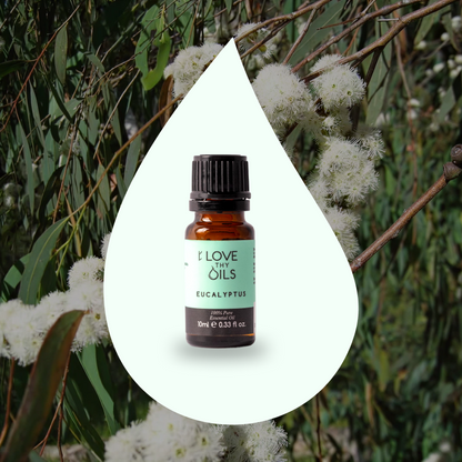 Eucalyptus Essential Oil 10ml