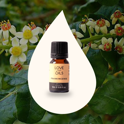 Frankincense Essential Oil 10ml