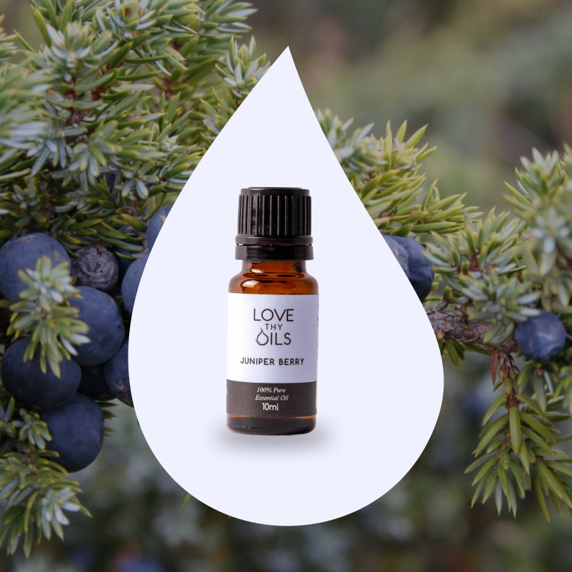 Juniper Berry Essential Oil 10ml