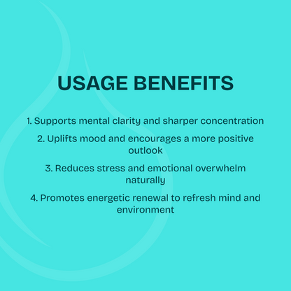 Mindset Mastery Bundle