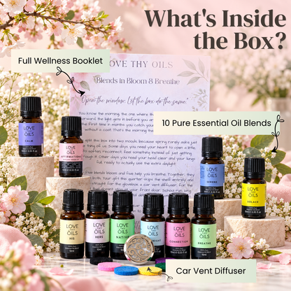 subscription box oct 2026