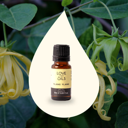 Ylang Ylang Essential Oil 10ml