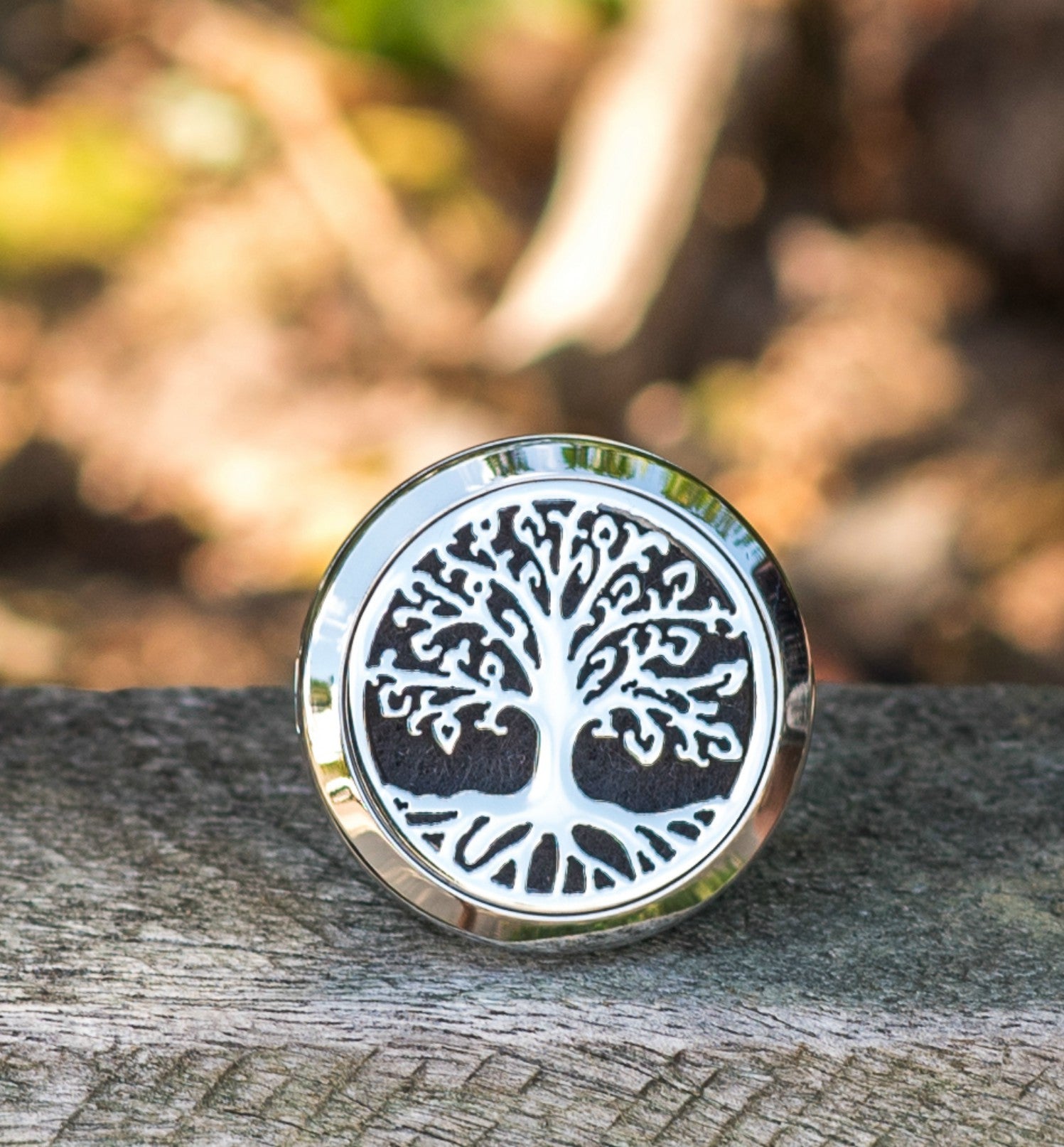Tree of Life essential oil diffuser locket for the car.